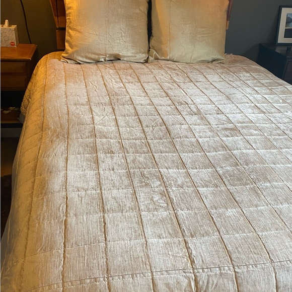 West Elm soft, velvet quilt comforter with matching shams - Picture 1 of 10
